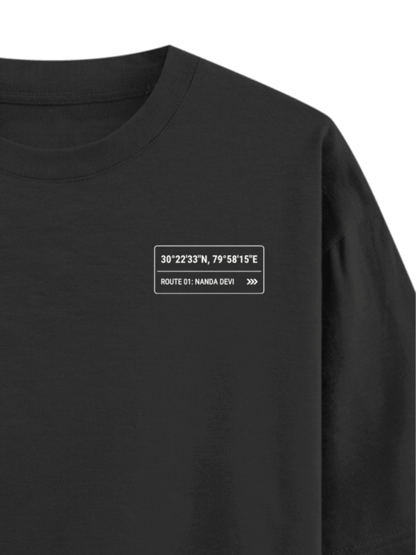 Heavyweight Oversized Nanda Devi Graphic Tee | 240 GSM | Ecothreadly