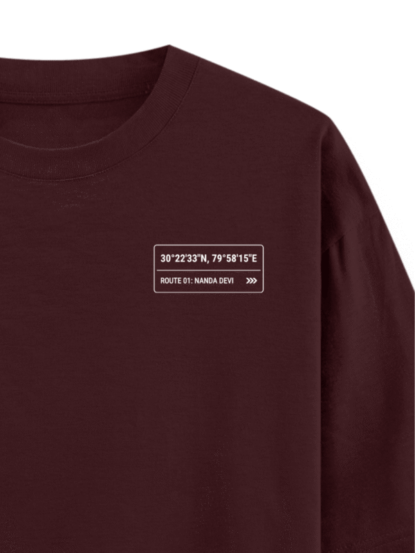 Heavyweight Oversized Nanda Devi Graphic Tee | 240 GSM | Ecothreadly