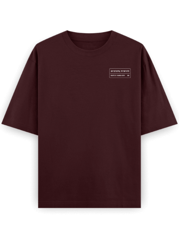 Heavyweight Oversized Nanda Devi Graphic Tee | 240 GSM | Ecothreadly