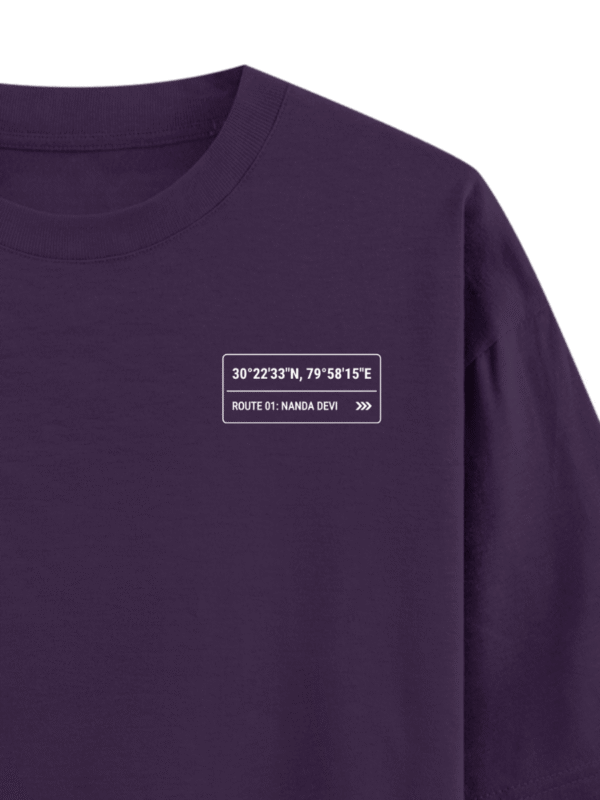 Heavyweight Oversized Nanda Devi Graphic Tee | 240 GSM | Ecothreadly