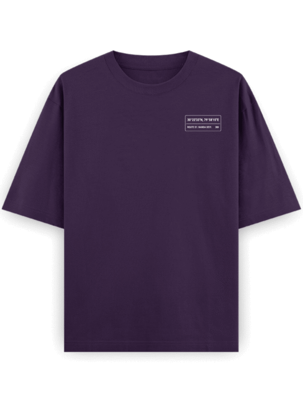 Heavyweight Oversized Nanda Devi Graphic Tee | 240 GSM | Ecothreadly